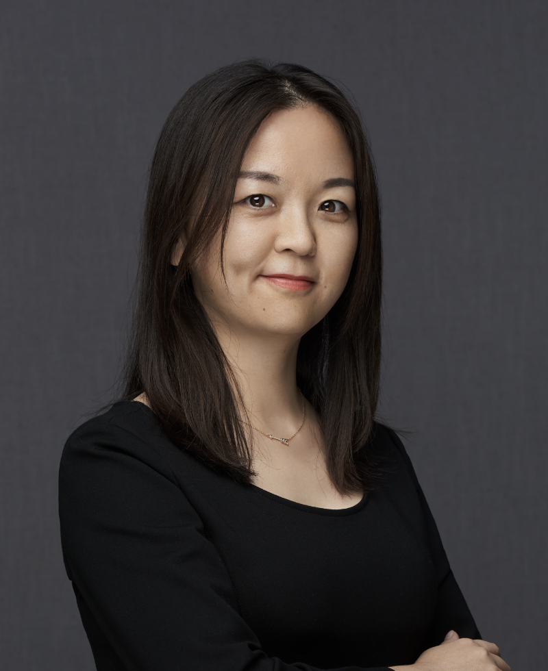 Prof. Zhaoli Meng